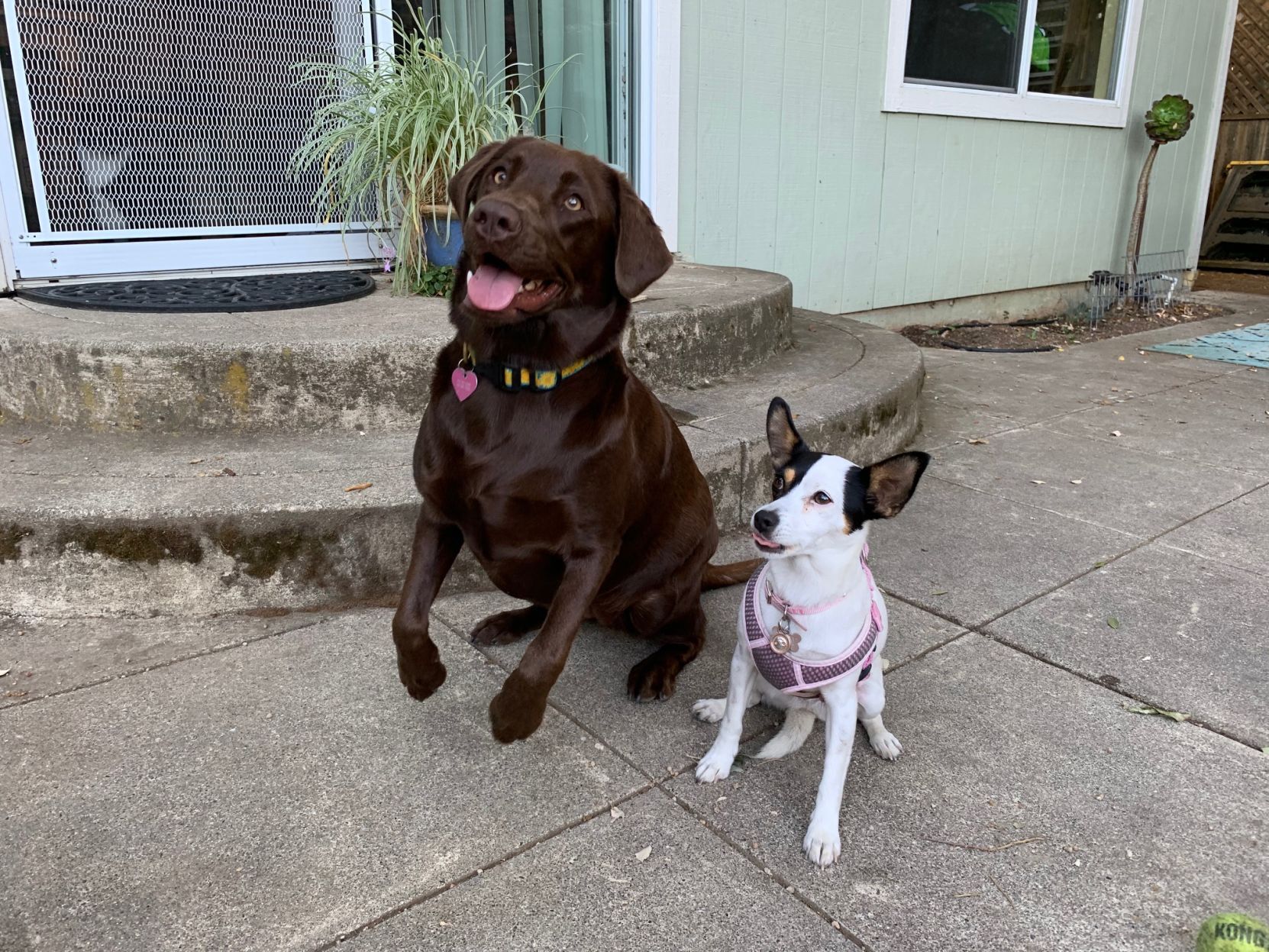 Penny & Joey